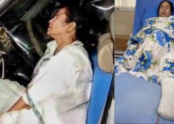 Mamata Banarjee, West Bengal Elections, Bhartiya Janata Party, Trinamool Congress, rss