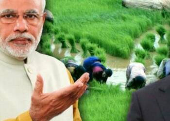 China, India, Rice