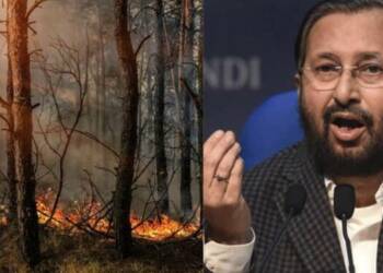 Similipal Fire Odisha