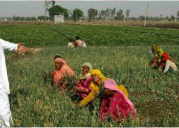 arhtiyas, farmers, fci
