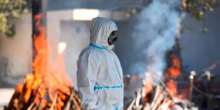 COVID-19 deaths, States