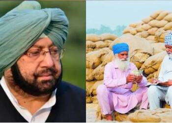 farmers middlemen punjab