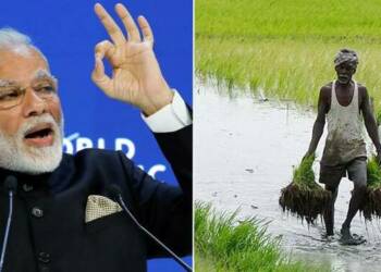 India, agriculture, exports