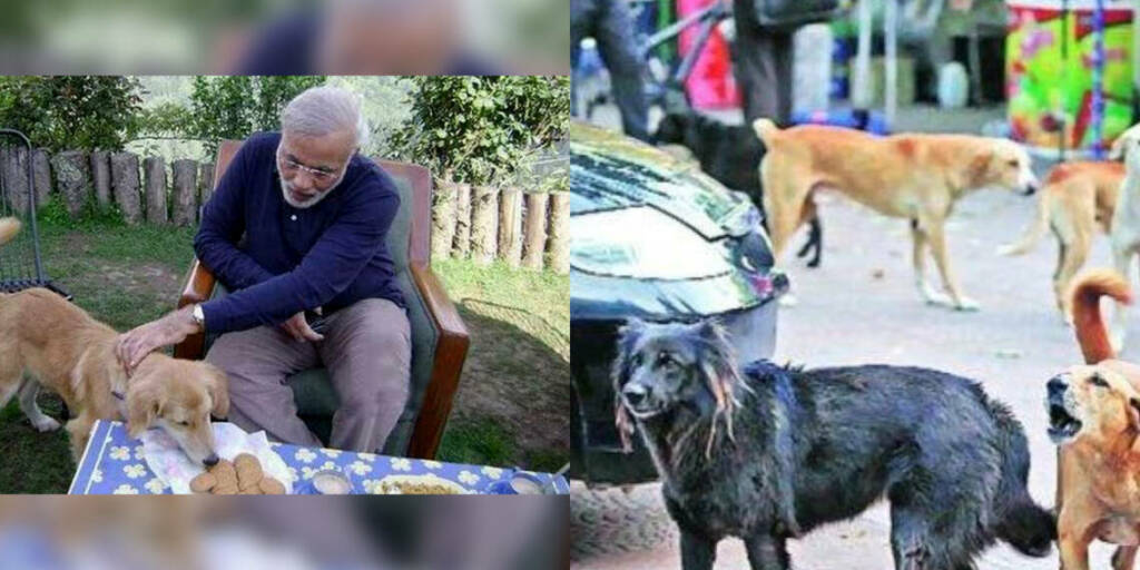 PM Modi, Indian dog breed
