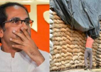 Centre gave Maharashtra grains to feed its people. CM Uddhav and his team let the grain rot