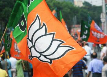 BJP, Southern States