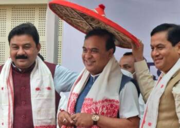 Himanta Biswa Sarma, Assam