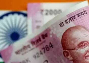 Indian FDI, investors