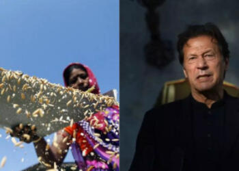 Indian Rice Exports, Pakistan, China, Indonesia, Agricultural Sector,