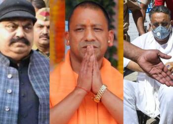 Yogi, gangsters, properties,