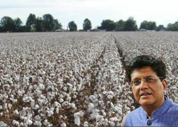 Piyush Goyal, Textile,