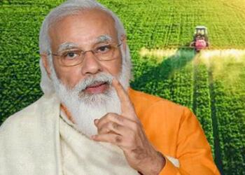 Modi, economy, agriculture, India, Exports