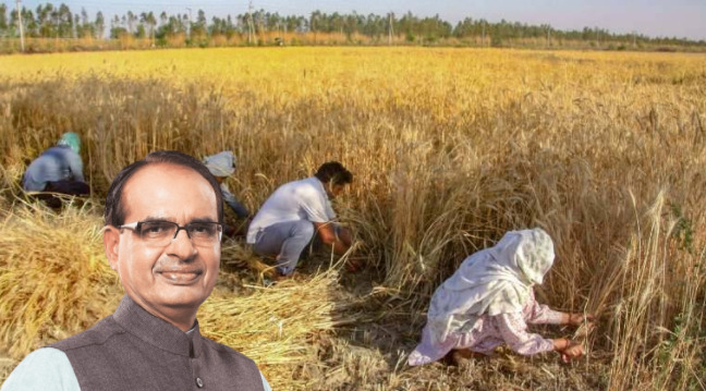 Shivraj Singh Chouhan, Agriculture, Wheat, MP, Punjab