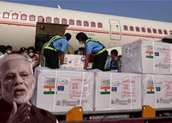 vaccines India export