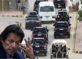 Pakistan, new Zealand, Cricket, Security