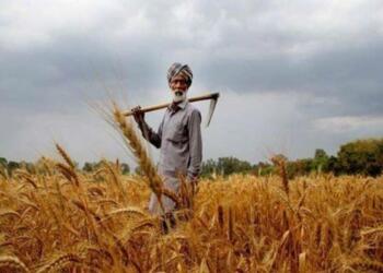 farm laws, farm bills, farmers protest, agricultural laws