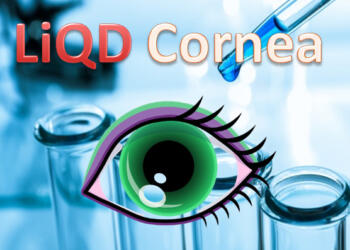 Cornea, stem cells, India