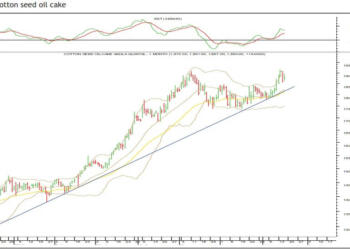 updatemart dashboard