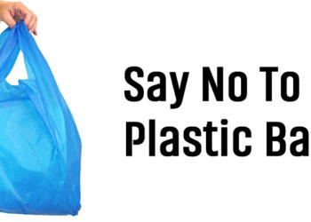 say no to plastic bags