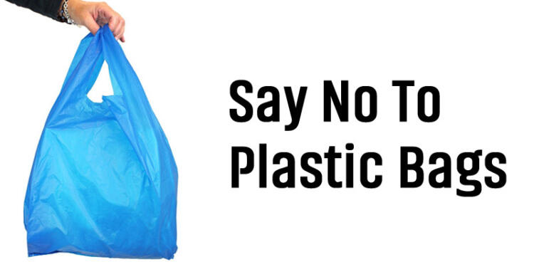 Say No to Plastic Bags: No equals to Yes to healthy life - TFIPOST