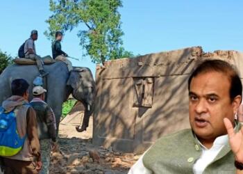 Himanta, Lumding, eviction