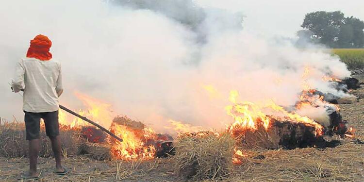 Stubble, Diwali, Firecrackers, Farmers, Burning