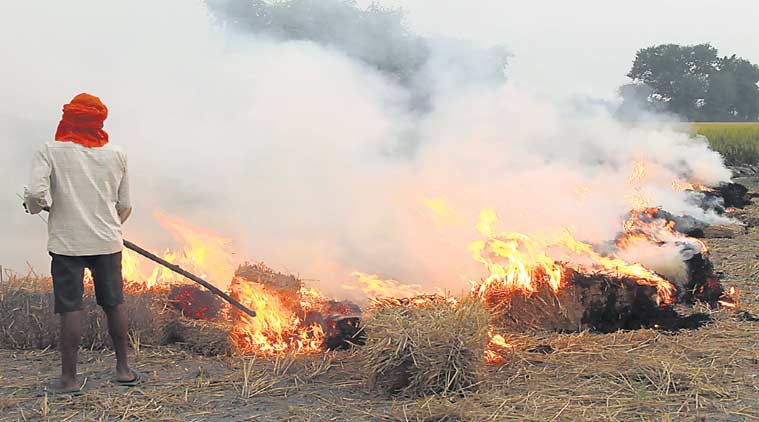 Stubble, Diwali, Firecrackers, Farmers, Burning