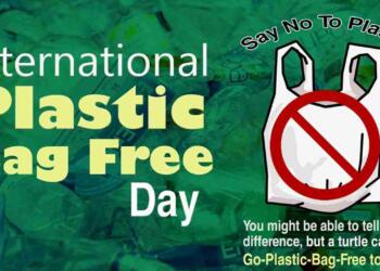 No plastic day poster