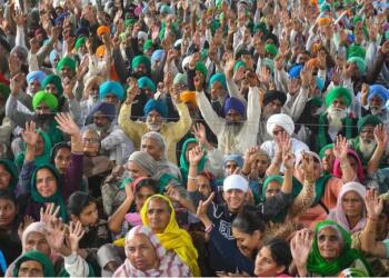 Have 700 farmers really died protesting against farm laws? Govt asks for proof
