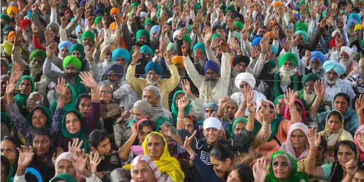 Have 700 farmers really died protesting against farm laws? Govt asks for proof