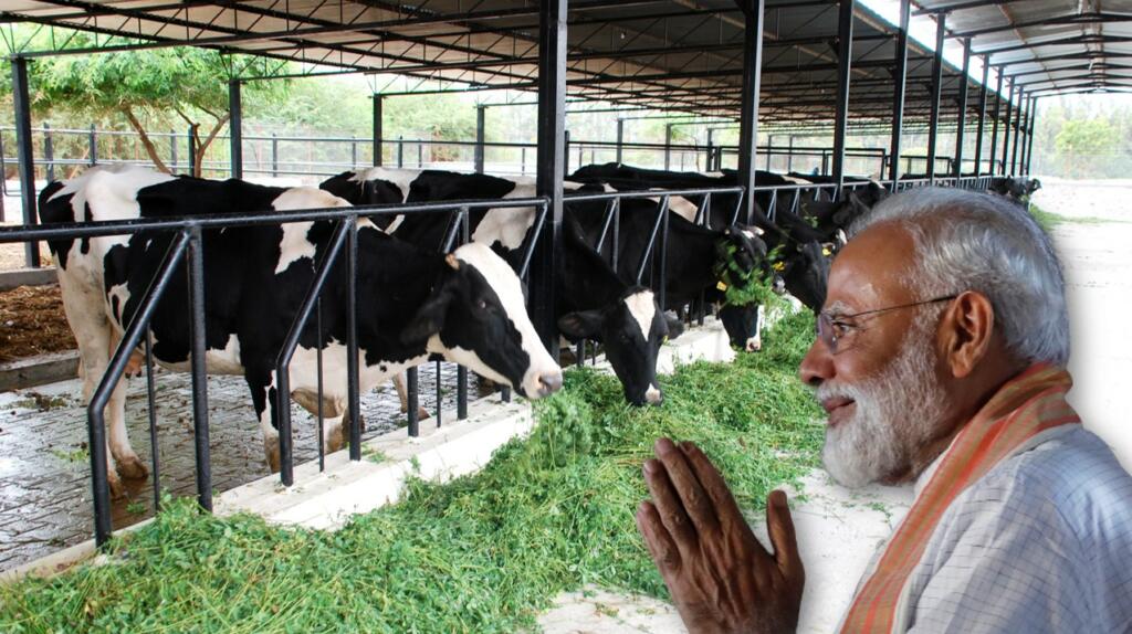 PM Modi Cows Liberals