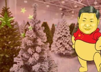 Christmas, China, Tree, West