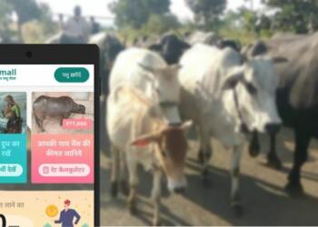 Diary, App, Bengaluru, Animall