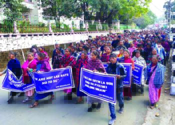 Meghalaya celebrates 50 years of statehood amid anti-vaccine protests and knife attacks on non-tribals