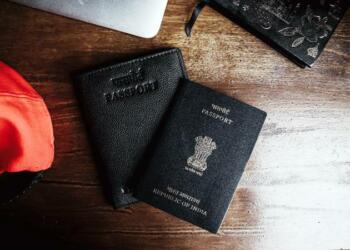 Indian, India, Passport, demography