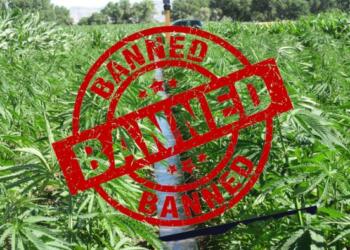 Marijuana, Tobacco, India, Pharma, bann. UN