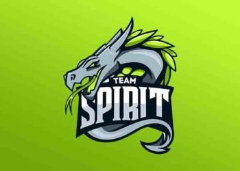 team spirit logo