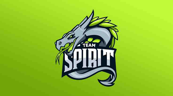 Team Spirit CS2 (CS:GO) Team from russia (terrorist state) | Tips.GG