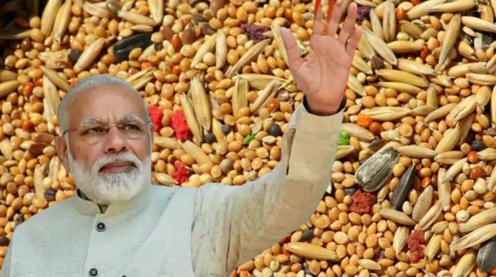 Coarse Grains India Value Nutrition