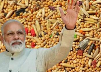 Coarse Grains India Value Nutrition