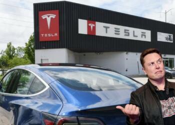 Musk Tesla Shares Stock