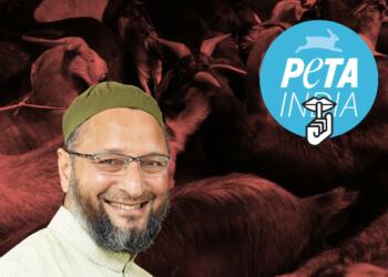 Peta Owaisi