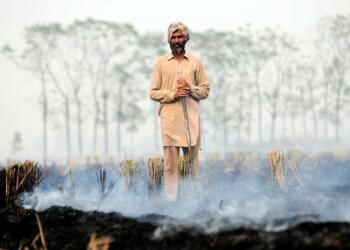 Punjab, Punjabi, Music, Video, Economy, Economic