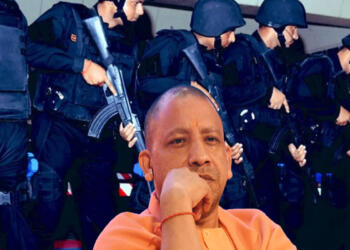 Yogi
