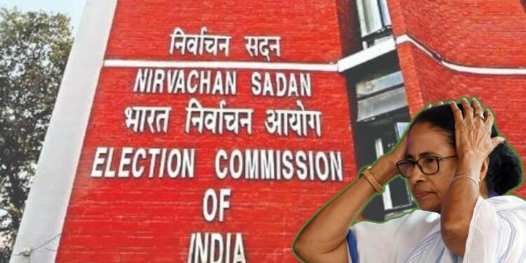 Election Mamata Voters