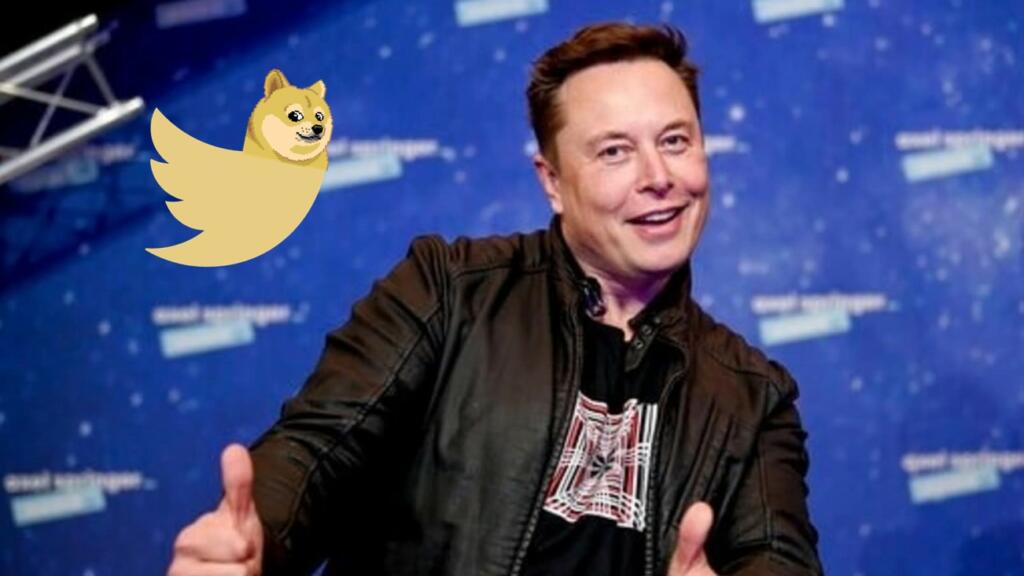 Elon Musk Doge Twitter Platform