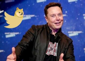 Elon Musk Doge Twitter Platform