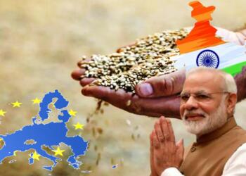 Wheat India Europe Russia Ukraine