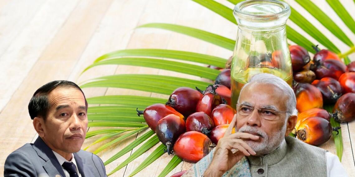 ban-on-the-export-of-palm-oil-can-become-a-blessing-in-disguise-for-india