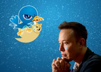 twitter board